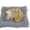 Gif003_IMAGE 2 Cute Realistic Sleeping Cat Toy in Plush Toy for Kids with Meow Sound Toy Accessories for Car Dashboard & Home Decor(Multicolor)