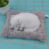 Gif003_IMAGE 5 Cute Realistic Sleeping Cat Toy in Plush Toy for Kids with Meow Sound Toy Accessories for Car Dashboard & Home Decor(Multicolor)