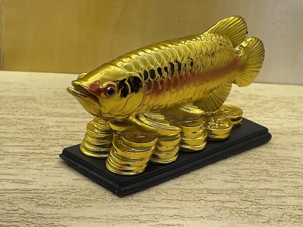 Gif018_IMAGE 3 Feng Shui Golden Arowana Fish Strong Wealth Symbol & Protects Mishaps, Troubles Vastu Products Home & Office (Fish-2)