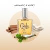 REVLON Charlie BLUE Eau De Toilette (EDT) for Men, 100ml | Classic Aromatic & Musky Cologne | Timeless Oakmoss, Sandalwood & Clean Woody Scent | Vintage perfume