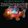 Transparent 3D Dolphine Toy 360 Degree Rotation, Gear Simulation Mechanical Dolphine Sound and Light Toy for 2-5 Years Boys and Girls (Big Size)