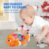 Transparent 3D Dolphine Toy 360 Degree Rotation, Gear Simulation Mechanical Dolphine Sound and Light Toy for 2-5 Years Boys and Girls (Big Size)
